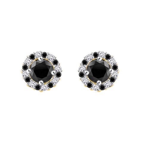 KATARINA 1 cttw Diamond Halo Earrings