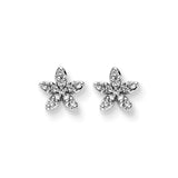 10K White Gold