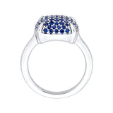 14K White Gold~Blue Sapphire 