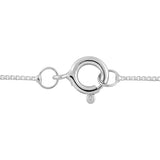 10K White Gold