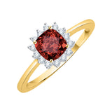 14K Yellow Gold~Garnet, 10K Yellow Gold~Garnet