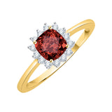 14K Yellow Gold~Garnet, 10K Yellow Gold~Garnet
