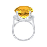 14K White Gold~Citrine, 10K White Gold~Citrine, Sterling Silver~Citrine