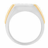 10K White and Yellow Gold~GH | I2/I3